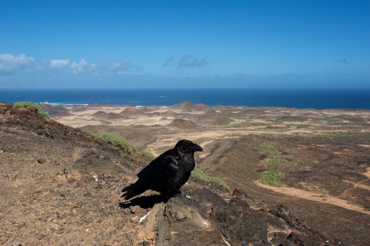 Appartamento Molino De El Roque Cotillo Esterno foto