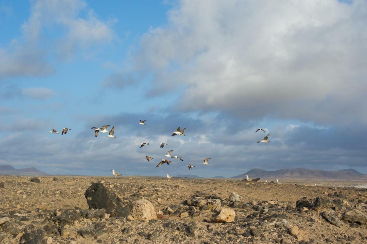 Appartamento Molino De El Roque Cotillo Esterno foto